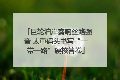 巨轮泊岸奏响丝路强音 太重码头书写“一带一路”硬核答卷