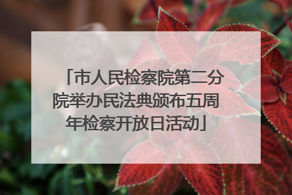 市人民检察院第二分院举办民法典颁布五周年检察开放日活动
