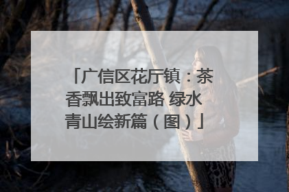 广信区花厅镇：茶香飘出致富路 绿水青山绘新篇（图）