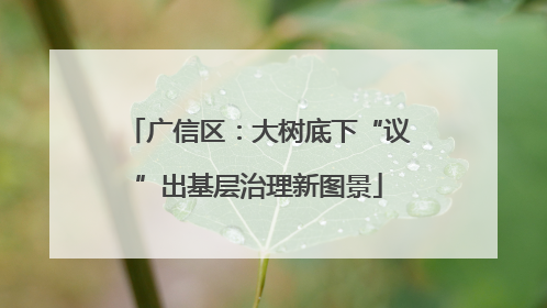 广信区：大树底下“议”出基层治理新图景