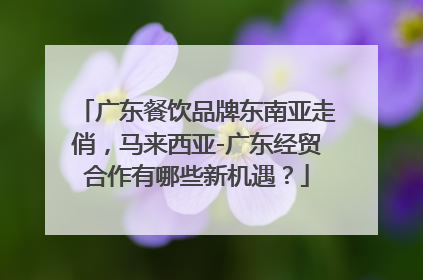 广东餐饮品牌东南亚走俏，马来西亚-广东经贸合作有哪些新机遇？
