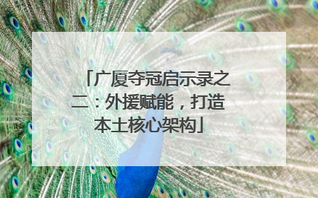 广厦夺冠启示录之二：外援赋能，打造本土核心架构