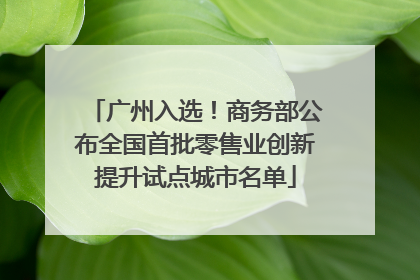 广州入选！商务部公布全国首批零售业创新提升试点城市名单