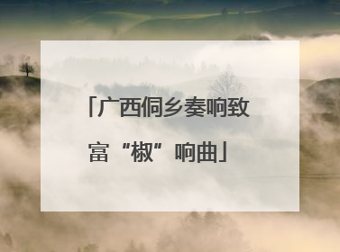 广西侗乡奏响致富“椒”响曲