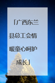 广西东兰县总工会情暖童心呵护成长