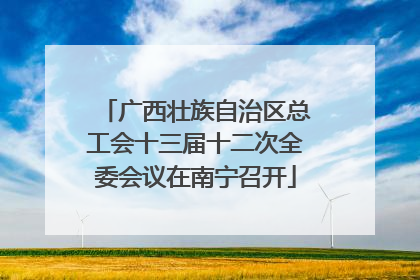 广西壮族自治区总工会十三届十二次全委会议在南宁召开