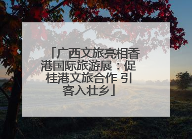 广西文旅亮相香港国际旅游展：促桂港文旅合作 引客入壮乡