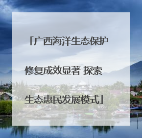 广西海洋生态保护修复成效显著 探索生态惠民发展模式