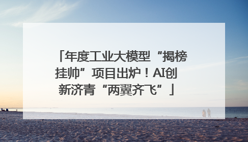 年度工业大模型“揭榜挂帅”项目出炉！AI创新济青“两翼齐飞”