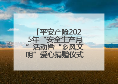 平安产险2025年“安全生产月”活动暨“乡风文明”爱心捐赠仪式在菏泽单县举行
