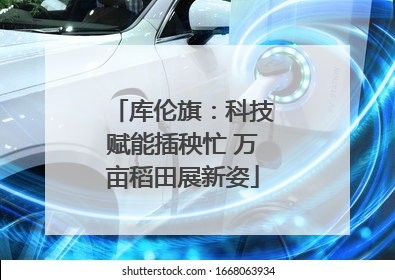 库伦旗：科技赋能插秧忙 万亩稻田展新姿