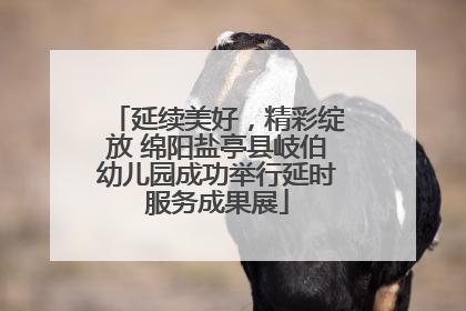 延续美好，精彩绽放 绵阳盐亭县岐伯幼儿园成功举行延时服务成果展