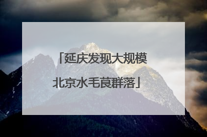 延庆发现大规模北京水毛茛群落
