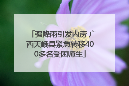 强降雨引发内涝 广西天峨县紧急转移400多名受困师生