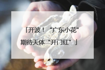 开波！“广东小花”期待天体“开门红”