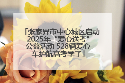 张家界市中心城区启动2025年“爱心送考”公益活动 528辆爱心车护航高考学子