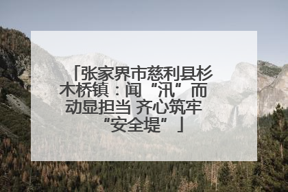 张家界市慈利县杉木桥镇：闻“汛”而动显担当 齐心筑牢“安全堤”