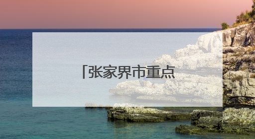 张家界市重点招商引资项目调度会召开