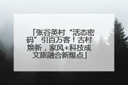 张谷英村“活态密码”引百万客！古村焕新，家风+科技成文旅融合新爆点