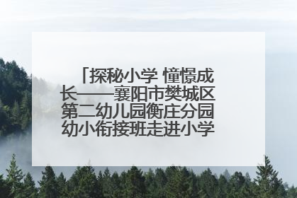 探秘小学 憧憬成长——襄阳市樊城区第二幼儿园衡庄分园幼小衔接班走进小学开展参观体验活动