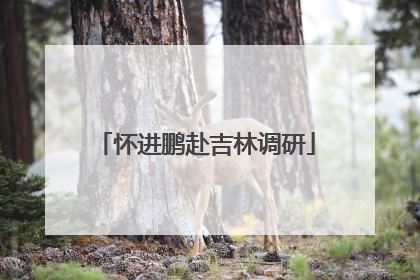 怀进鹏赴吉林调研