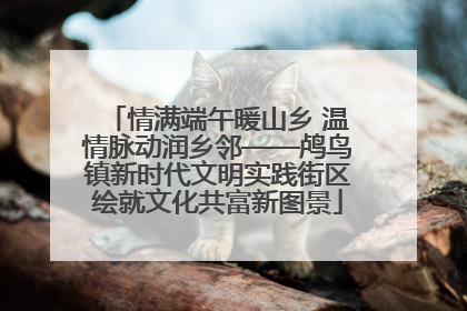情满端午暖山乡 温情脉动润乡邻——鸬鸟镇新时代文明实践街区绘就文化共富新图景