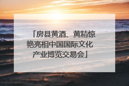 房县黄酒、黄精惊艳亮相中国国际文化产业博览交易会