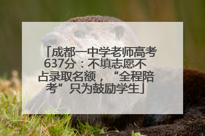 成都一中学老师高考637分：不填志愿不占录取名额，“全程陪考”只为鼓励学生