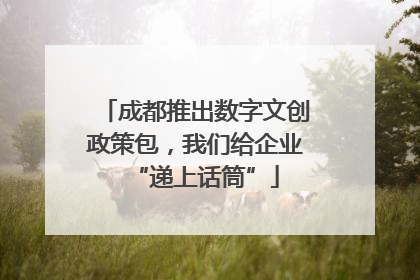 成都推出数字文创政策包，我们给企业“递上话筒”