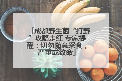 成都野生菌“打野”攻略走红 专家提醒：切勿随意采食，严重或致命