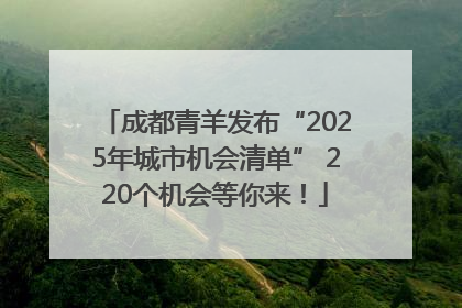 成都青羊发布“2025年城市机会清单” 220个机会等你来！
