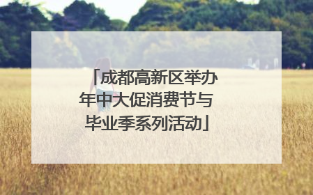 成都高新区举办年中大促消费节与毕业季系列活动