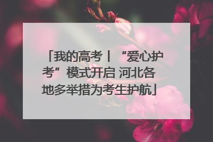 我的高考丨“爱心护考”模式开启 河北各地多举措为考生护航