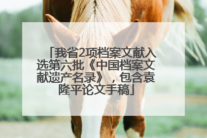 我省2项档案文献入选第六批《中国档案文献遗产名录》，包含袁隆平论文手稿