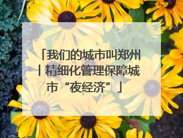 我们的城市叫郑州丨精细化管理保障城市“夜经济”