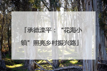 承德滦平：“花海小镇”照亮乡村振兴路