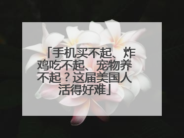 手机买不起、炸鸡吃不起、宠物养不起？这届美国人活得好难