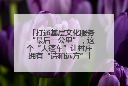 打通基层文化服务“最后一公里”，这个“大篷车”让村庄拥有“诗和远方”