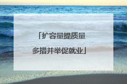 扩容量提质量 多措并举促就业