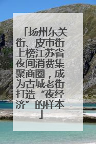 扬州东关街、皮市街上榜江苏省夜间消费集聚商圈，成为古城老街打造“夜经济”的样本