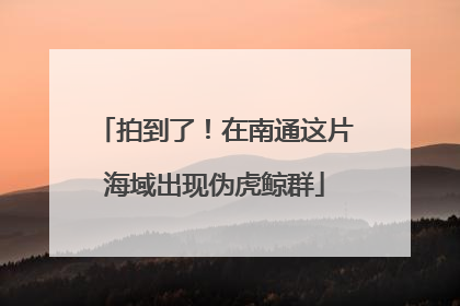 拍到了！在南通这片海域出现伪虎鲸群