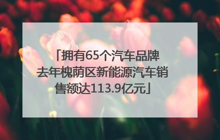 拥有65个汽车品牌 去年槐荫区新能源汽车销售额达113.9亿元
