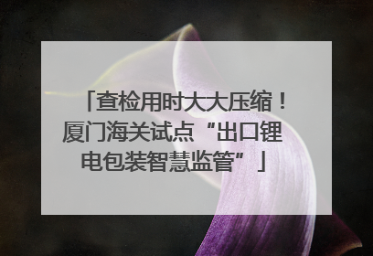 查检用时大大压缩！厦门海关试点“出口锂电包装智慧监管”