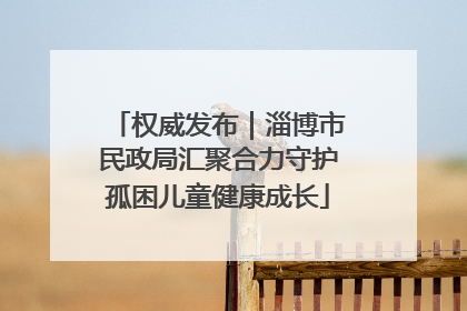 权威发布｜淄博市民政局汇聚合力守护孤困儿童健康成长