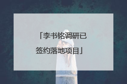 李书铭调研已签约落地项目