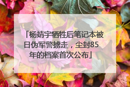 杨靖宇牺牲后笔记本被日伪军警掳走，尘封85年的档案首次公布