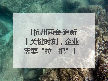 杭州两会·追新丨关键时刻，企业需要“拉一把”