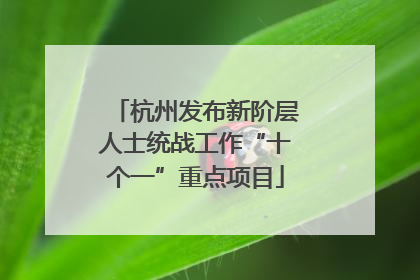 杭州发布新阶层人士统战工作“十个一”重点项目