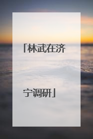 林武在济宁调研