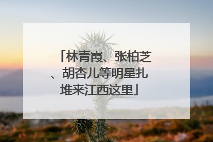 林青霞、张柏芝、胡杏儿等明星扎堆来江西这里